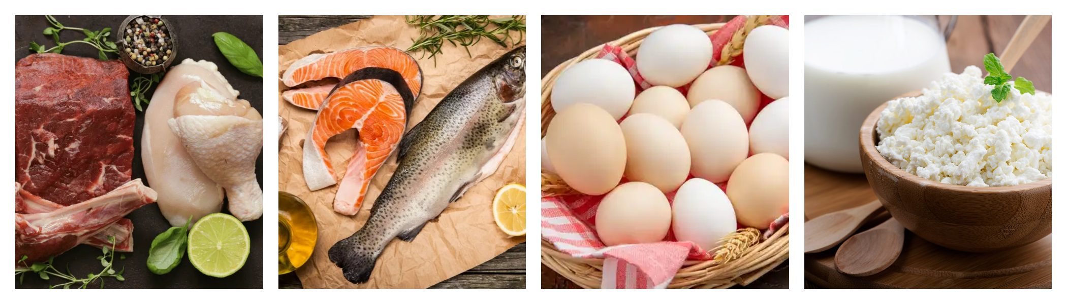 Коллаж из продуктов, богатых белком: мясо, рыба, яйца, творог и молоко.